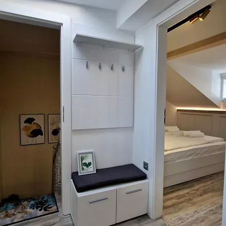 公寓 Charming Center Loft *